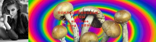 спайс Бронницы